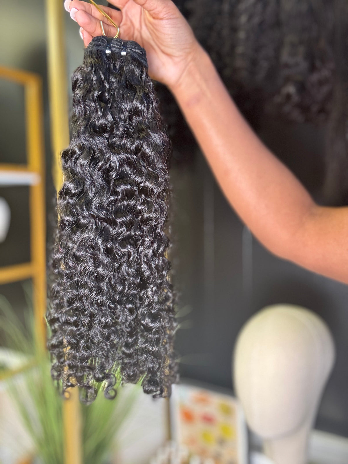 Burmese Curly